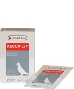 Recup-Lyt Electrolytes Mix 240 Grams
